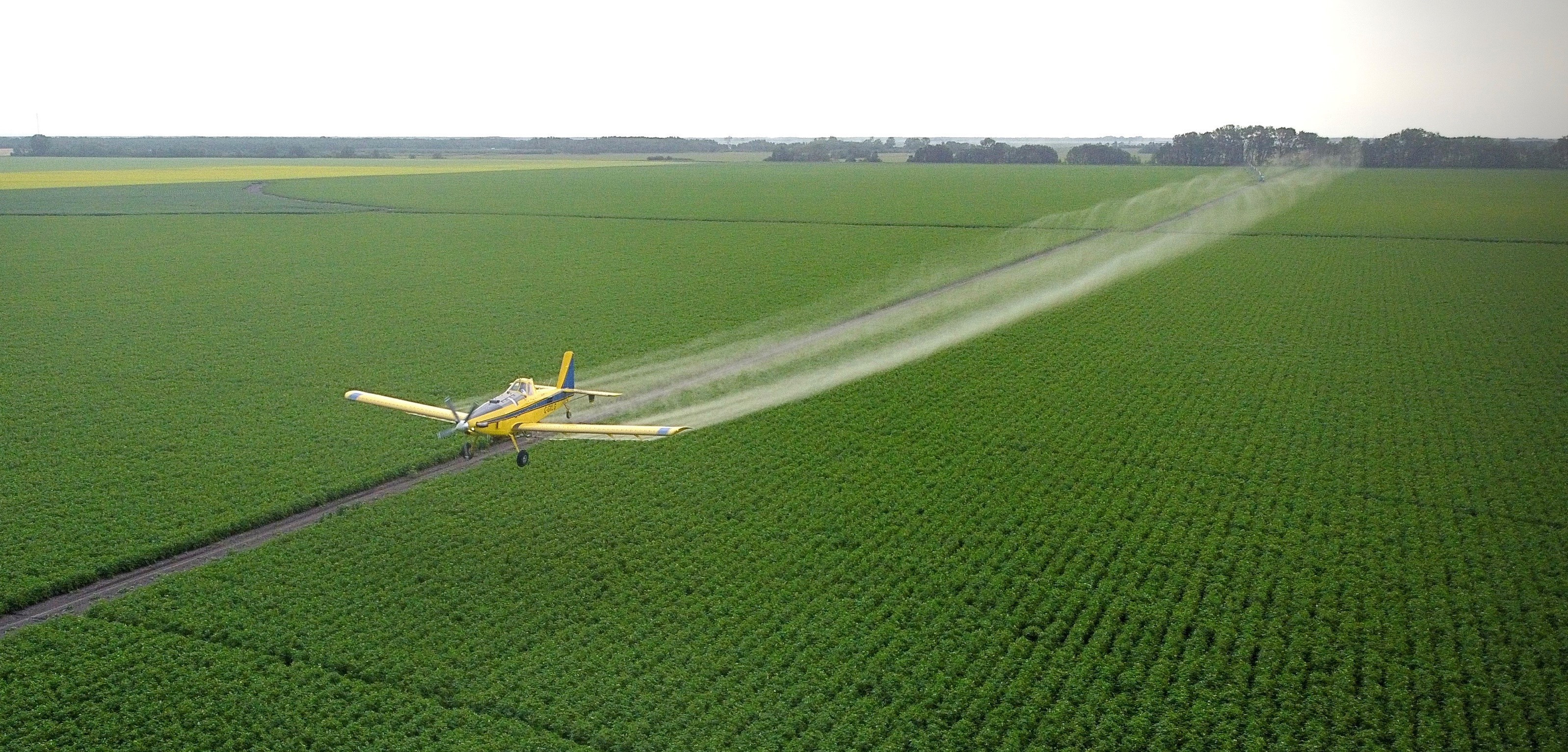 Aerial applicators weigh in on challenging farm season